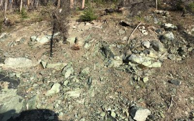 Wall of Serpentinite